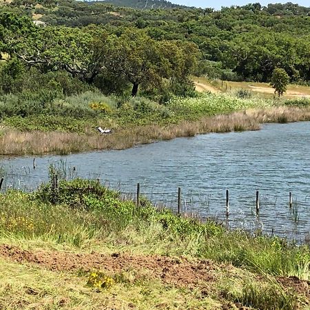 Fontes - A Essencia Do Alentejo Com Lago Privado Редонду Экстерьер фото