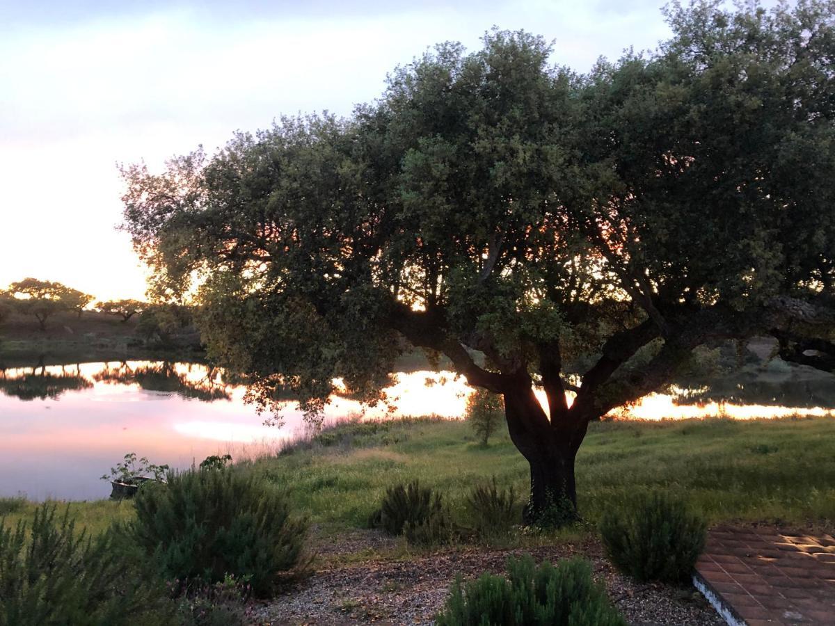Fontes - A Essencia Do Alentejo Com Lago Privado Редонду Экстерьер фото