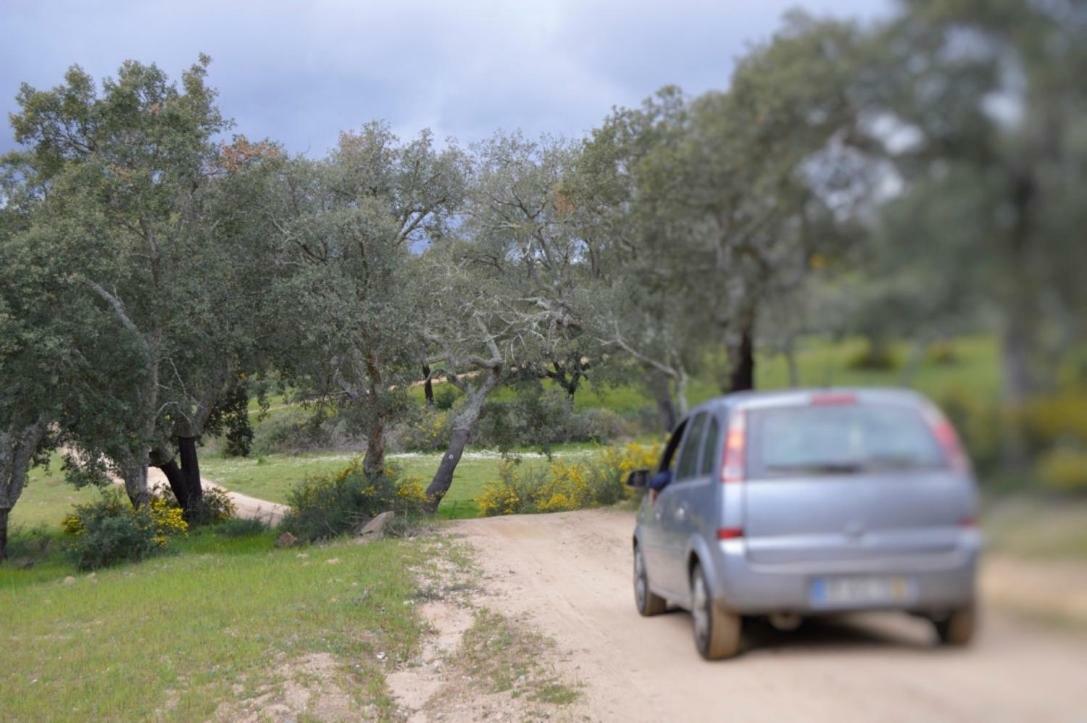 Fontes - A Essencia Do Alentejo Com Lago Privado Редонду Экстерьер фото
